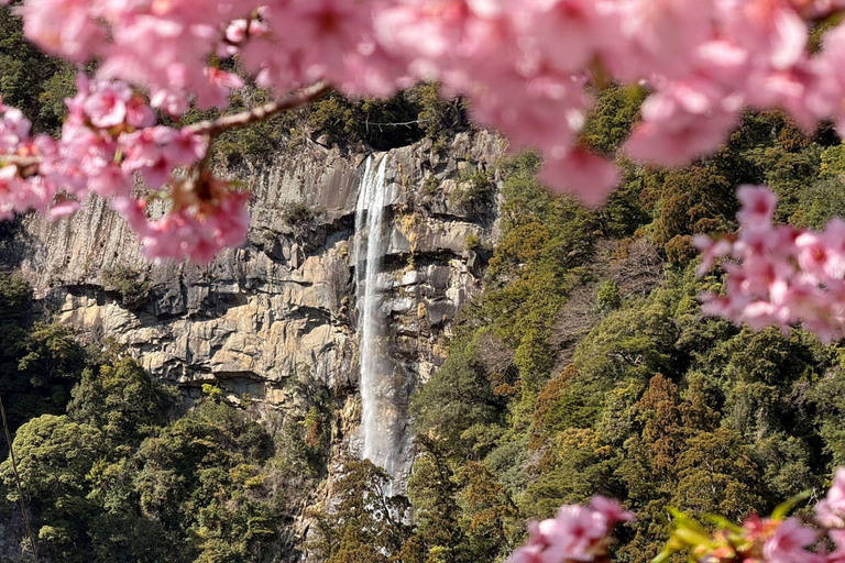 Kumano Kodo & Kumano Sanzan One-Day Tour from Osaka