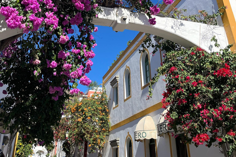 Essentials of the south of Gran Canaria Guided bus tour with pick-up from Las Palmas