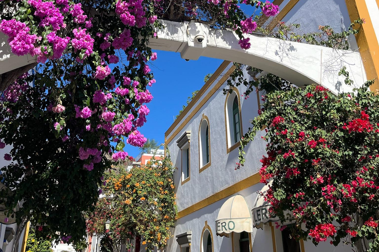 Essentials of the south of Gran Canaria Guided bus tour with pick-up from Las Palmas