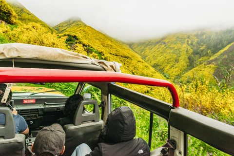 Funchal: Förtrollade terrasser, Porto do Moniz &amp; Fanal 4WD-turDelad tur