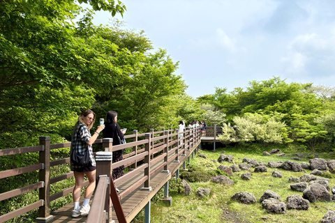 Jeju Small Group Tour incl. Yacht Cruise, Falls & Mt.Halla Jeju Small Group Tour with Yacht Cruise, Falls & Mt.Halla