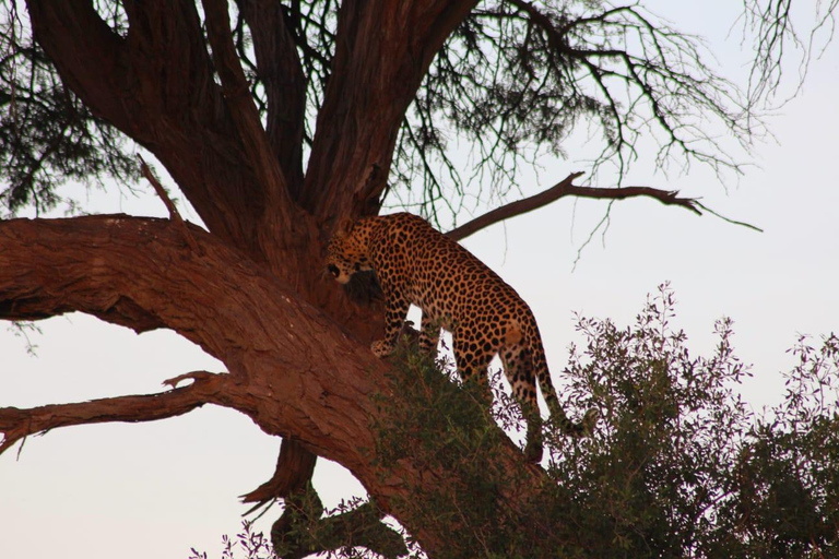 Botsuana: safari de 9 días por Chobe, el delta y las cataratas Victoria