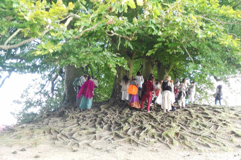 Wiltshire Excursión guiada en coche Mística y DragonesPor persona Coche