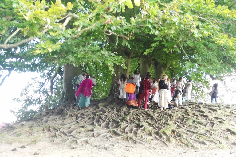 Wiltshire Excursión guiada en coche Mística y DragonesPor persona Coche