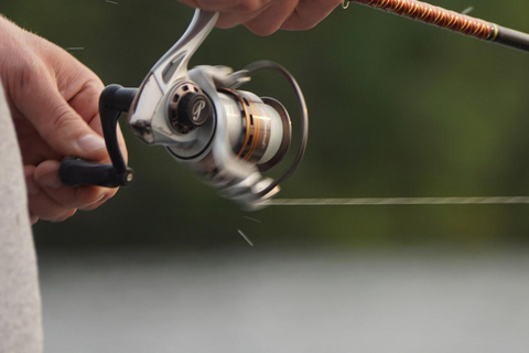 Yeda: Excursión de pesca deportivaJeddah: Viaje de pesca deportiva