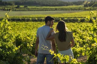Valencia: Weinberg-Tour, lokaler Wein, Cava-Verkostung & Snacks