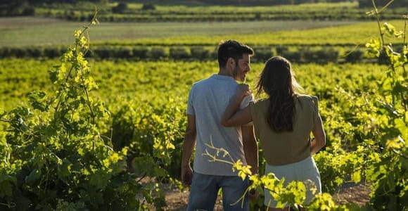 Valencia: Vineyard Tour, Local Wine, Cava Tasting & Snacks