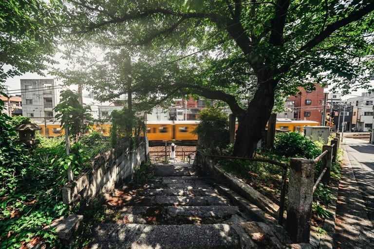 Hiroshima: Onomichi Private Hillside Walk & Ropeway Ride