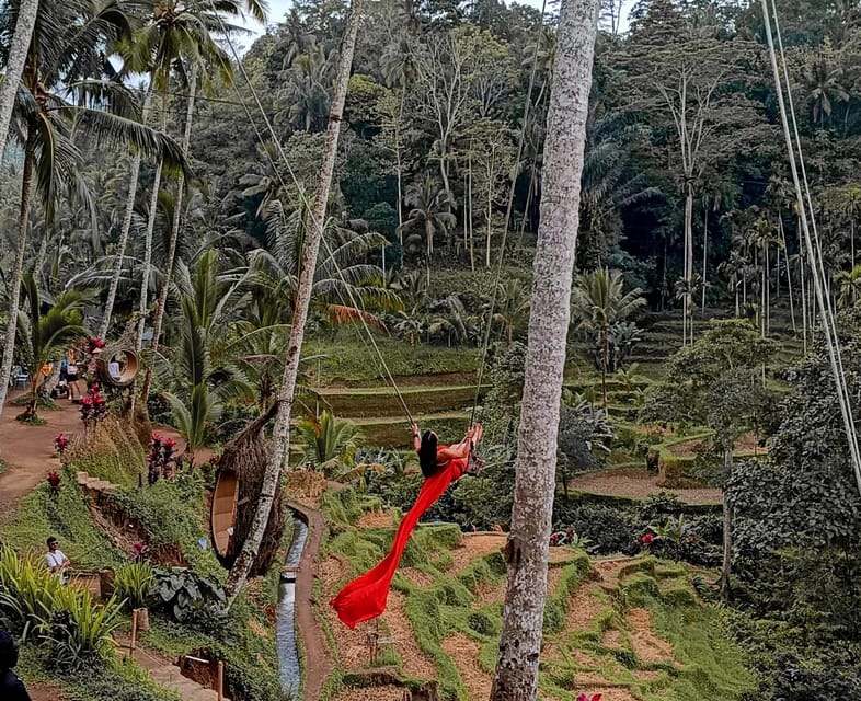 Ubud Best Attractions : Rizière, Chute d'eau, Tour de balançoire ...