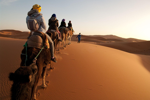 Från Agadir/Taghazout: Sahara sanddyner med transfer