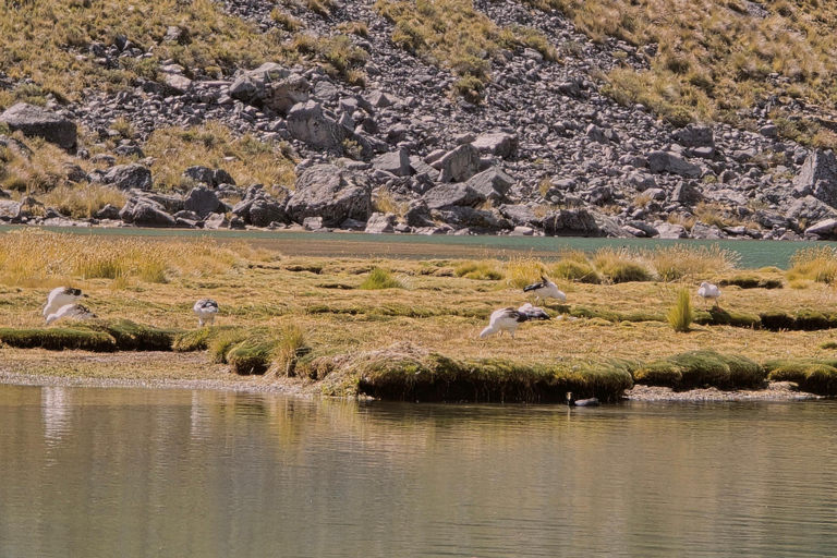 Balade à cheval dans l&#039;Ausangate et les 7 lacs - Journée complète - En groupeÉquitation à Ausangate 7 Lacs, journée complète - En groupe