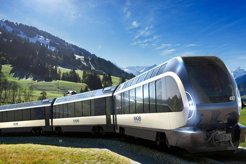 Zurich: Hardcore Swiss Train Tour–4 Scenic Railways in 1 day Excluding Train Tickets