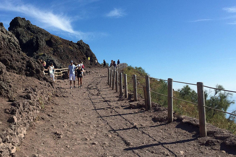 From Naples: Mount Vesuvius Half-Day Tour with Lunch Regular Tour