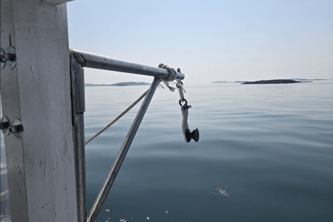 Belfast Lobster Fishing Experiences — Midcoast Maine Haul Traps & Feast: Maine Lobster Boat Experience