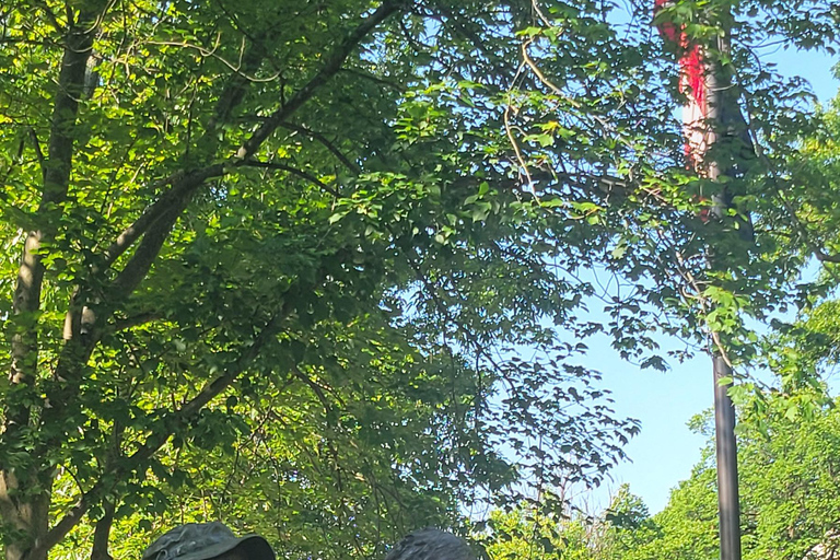 Private Washington DC Grand Tour with Changing of the Guard.