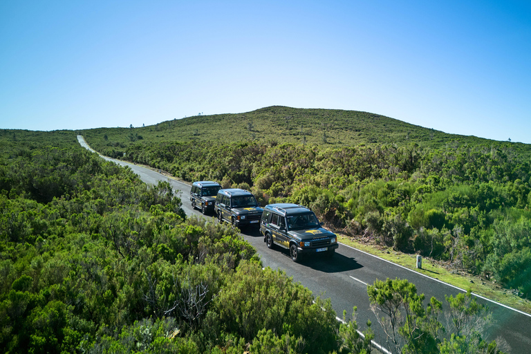 Tropical Tide, Porto Moniz & Fanal Forest 4WD Jeep Tour