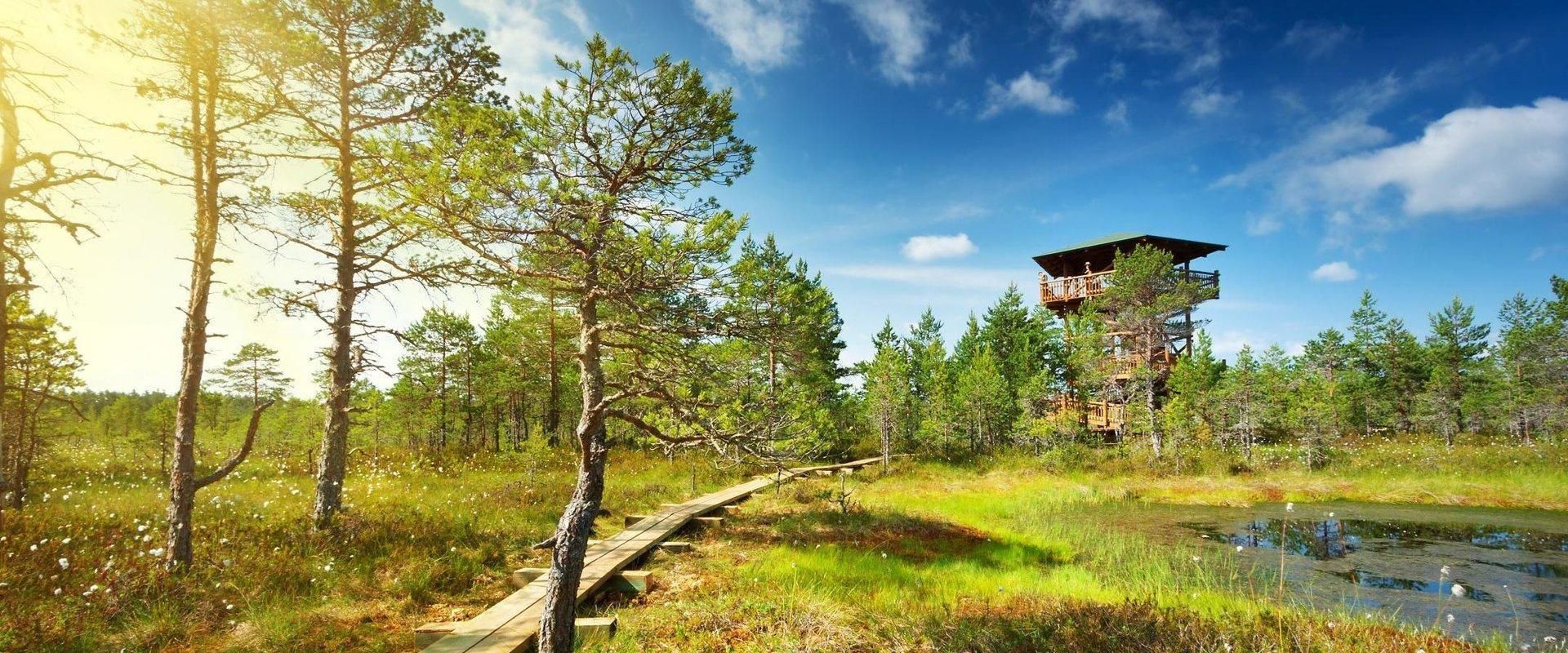 Lahemaa: VIP-Tour in Estlands ältesten Nationalpark