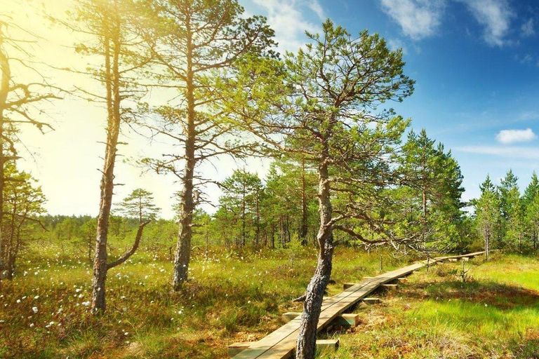 Lahemaa : visite du plus ancien parc national d&#039;EstonieLahemaa : visite du plus ancien parc national d&#039;Estonie (8 heures)