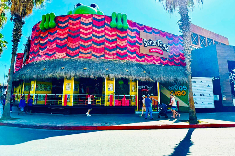Frog's Pass Mexican Food & Fiesta Sr. Frog's Restaurant Cozumel