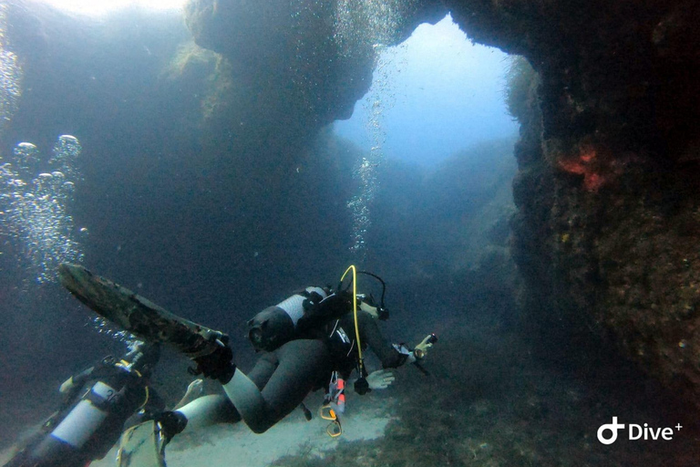 Tenerife - Découverte de la plongée sous-marine avec instructeur