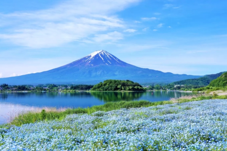 Z Tokio: Góra Fudżi, Jezioro Kawaguchi i jednodniowa wycieczka po YamanakaMiejsce zbiórki na stacji JR Tokyo o godzinie 8:00