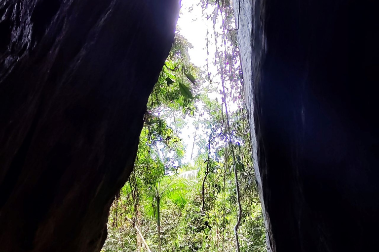 Tijuca Forest´s hike: caves, waterfalls and great views