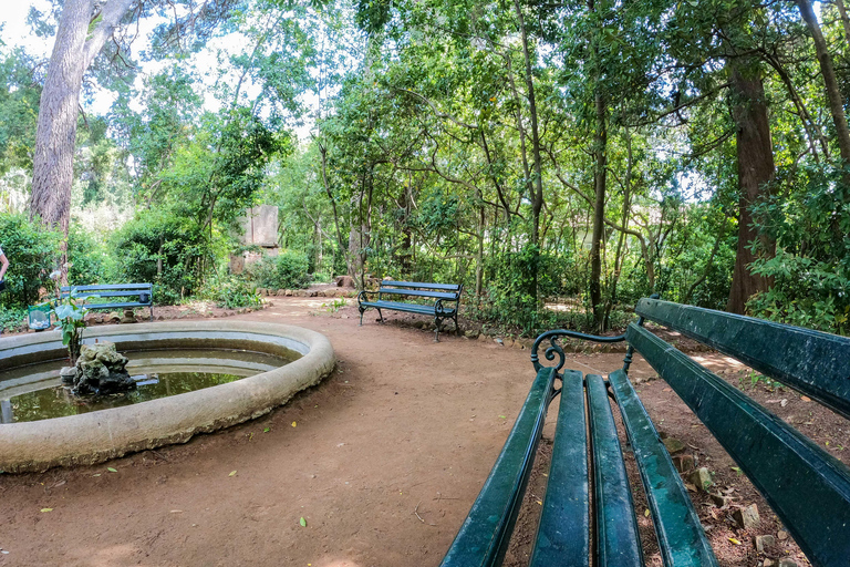 Dubrovnik/Cavtat: Blue Cave & Elaphiti with Food/Drinks From Dubrovnik Old Town