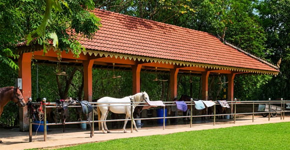 Siem Reap Happy Horse Riding Free Pick-up & Drop-off