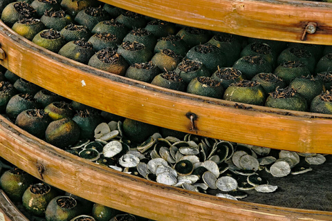 Depuis Guangzhou : excursion privée d&#039;une journée à JiangmenGuide pour les autres langues