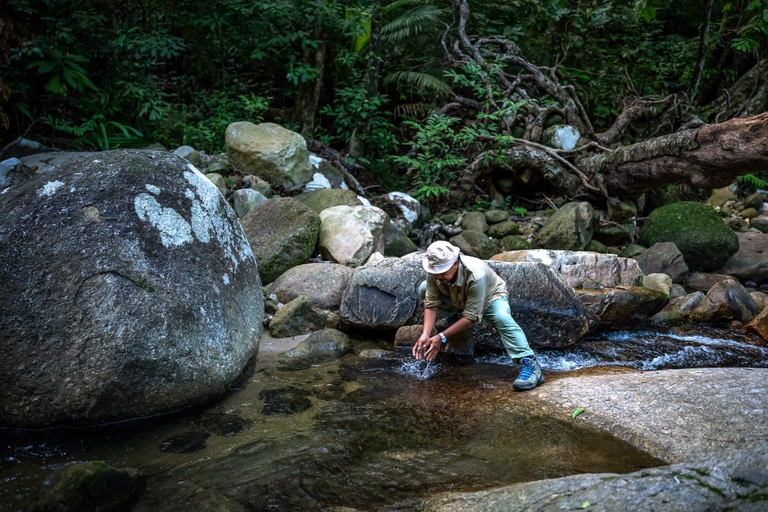 Langkawi: Conquer the Challenging Gunung Raya Jungle Trek