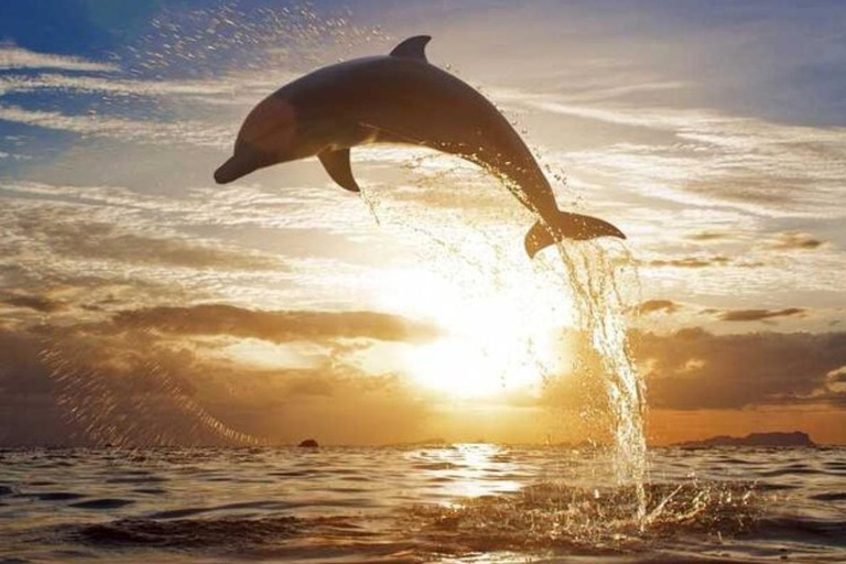 Bali: Lovina Dolphin Watching, Sekumpul Waterfall & Lunch Lovina Dolphin Watching, Sekumpul Waterfall & Lunch