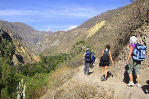 Depuis Arequipa : Excursion au Canyon de Colca en 2D avec arrivée à Puno