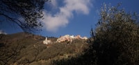 Lievàntu Wine Experience, Tour & tasting in Levanto Valley - Housity