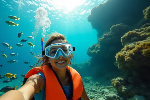 Ilha Do Sal: nurkowanie z lokalnym przewodnikiemIlha Do Sal: Nurkowanie z lokalnym przewodnikiem