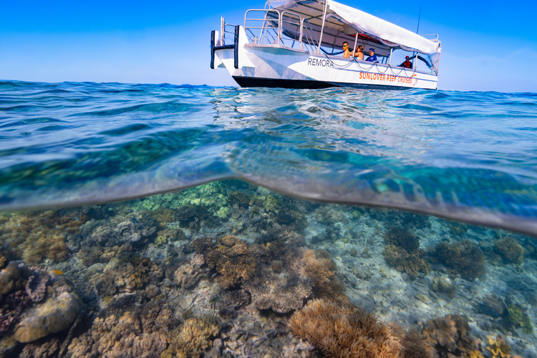 Cairns: Great Barrier Reef Pontoon, Travel by Helicopter Heli Flight to the reef, Heli flight back to Cairns