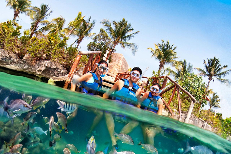 From Playa del Carmen: Xel-Há All-Inclusive Park Xel-Há Park All-Inclusive Ticket with Transportation