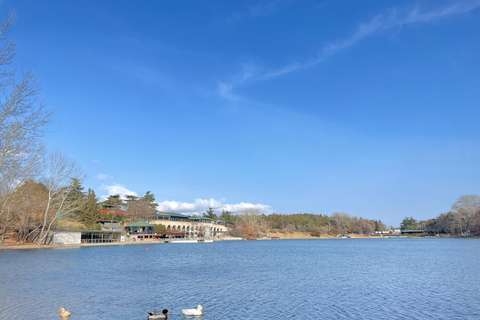 Tbilisi: Elegantie van traditionele architectuur &amp; Schildpaddenmeer