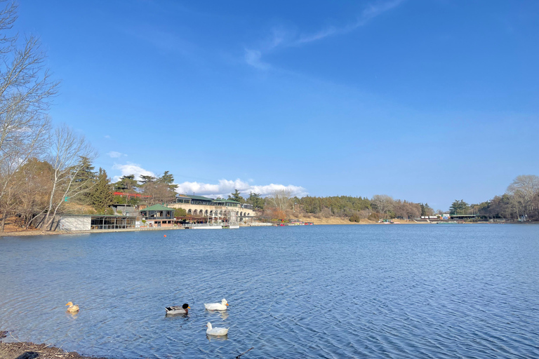 Tbilisi: Elegantie van traditionele architectuur &amp; Schildpaddenmeer