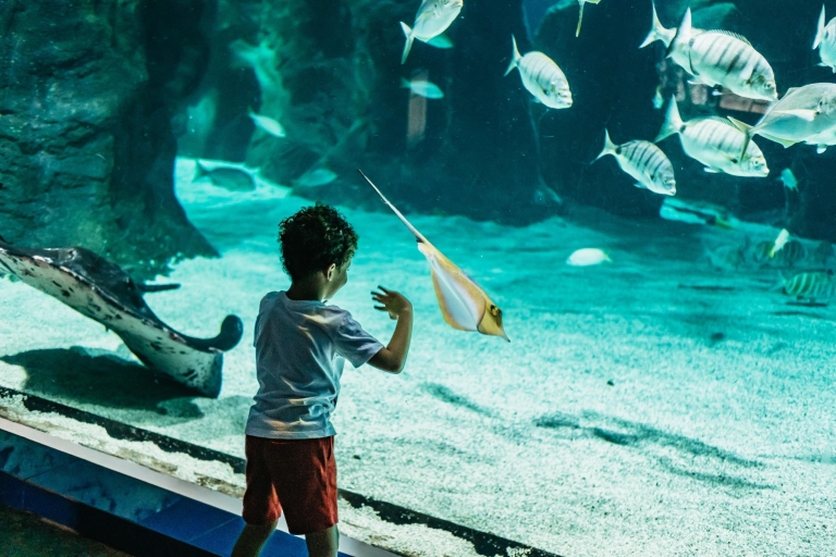 Lanzarote: Aquarium Entry Ticket