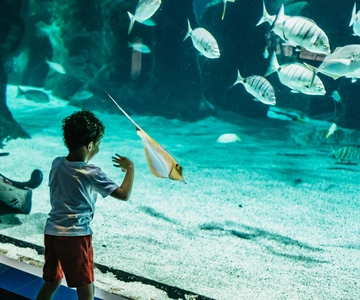 Lanzarote: Aquarium Entry Ticket