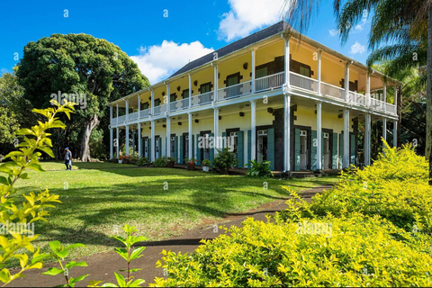 Mauricio: Nado con tortugas y tour de descubrimiento del norte con servicio de recogida