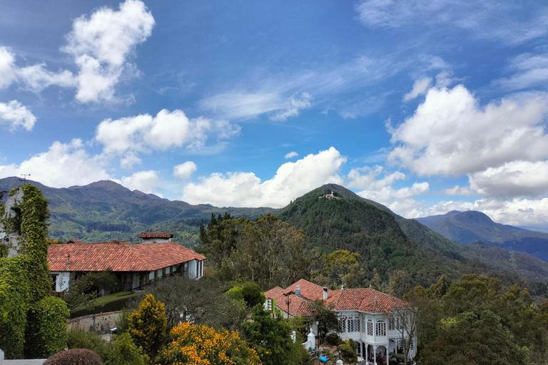 Bogotá: Monserrate Birdwatching Tour with Guide