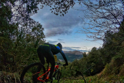 San Sebastián: Exploración del País Vasco en bicicleta de montaña