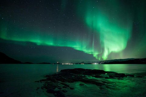 Desde Tromsø: Excursión nocturna de auroras boreales y avistamiento de ballenasDesde Tromsø: Excursión nocturna para ver auroras boreales y ballenas