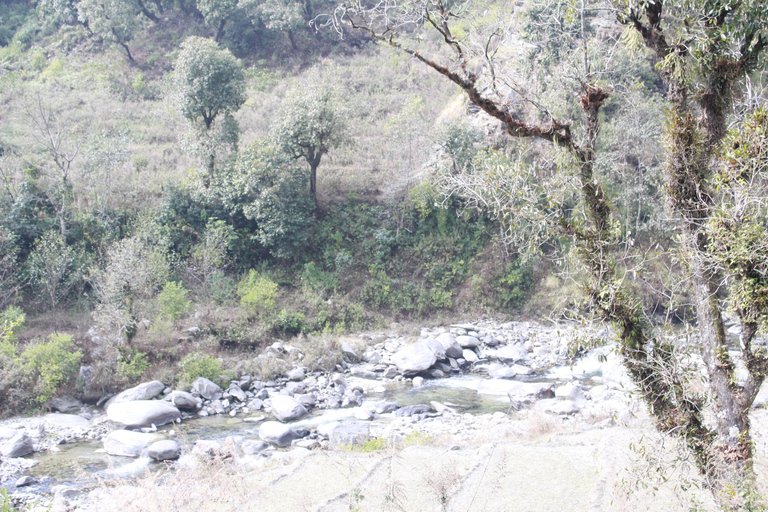 Découvrez la magie de Poon Hill : Un trek de 4 jours au départ de Pokhara