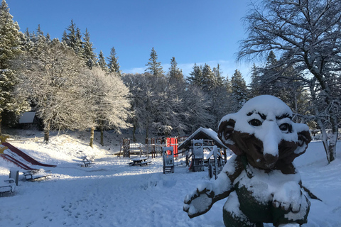 Aventura de inverno - Caminhadas na neve