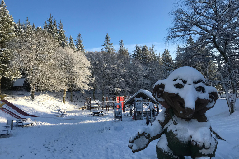 Winter Adventure - Snow Hiking