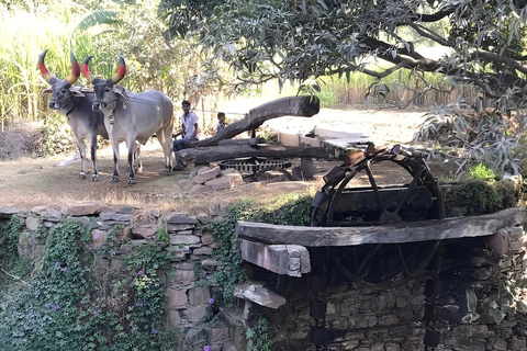 Udaipur: Private Village Tour by Tuk-Tuk or Car Village Tour by Car