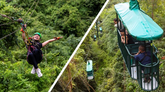Visit Canopy Zip line & Aerial Tram Tour in Rincon de la Vieja