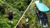 Canopy Zip line & Aerial Tram Tour - Housity
